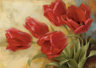Красные тюльпаны 1