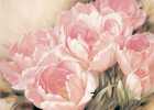 Махровые тюльпаны 1